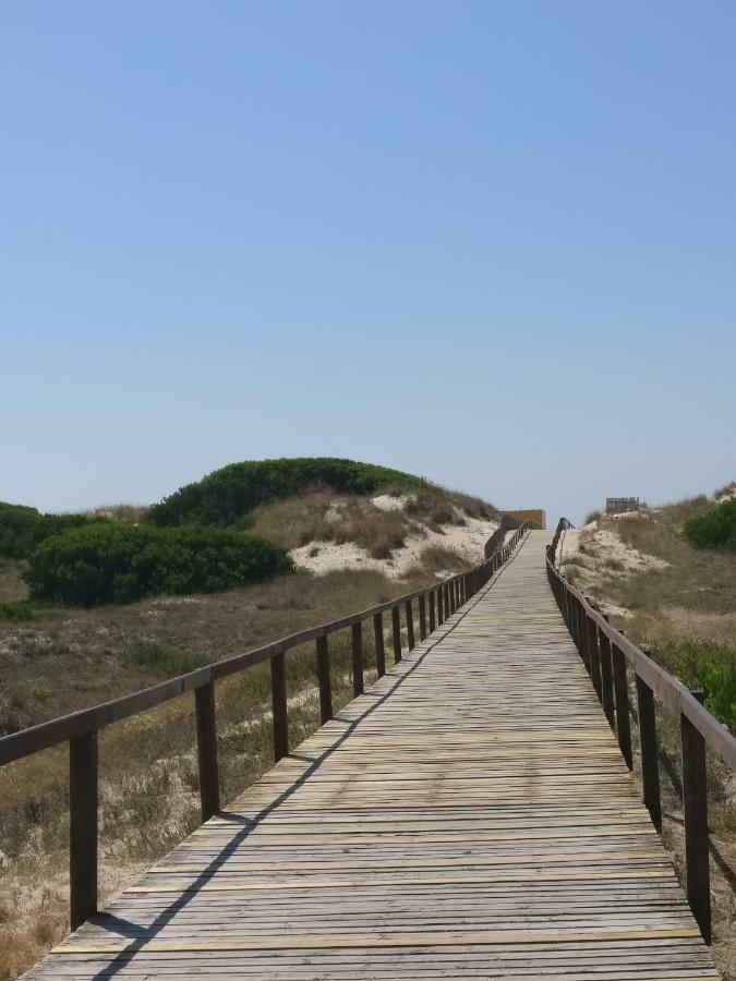 Appartamento Casa Da Ilha Dos Ovos Aveiro Esterno foto